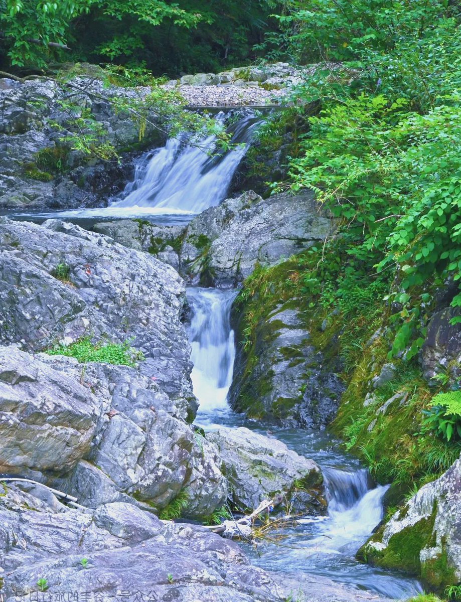 Aeew5C's tweet photo. This morning, hiking by the stream, I heard the gurgle of rapids, tried a new rice treat from the local stall, and learned a cool bit about traditional ways—what a nice day!， https://t.co/dnv5lIrpgt