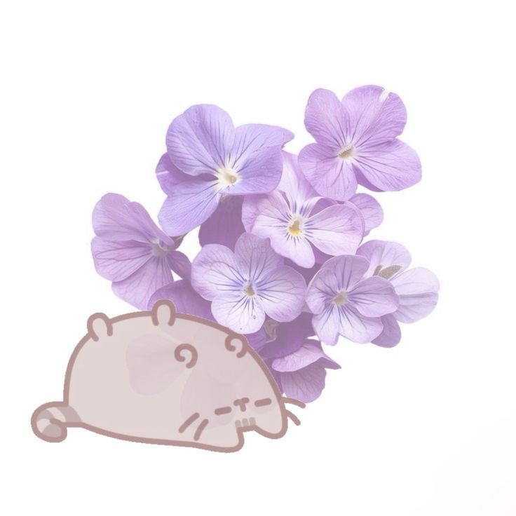 wanwanene's tweet photo. ㅤ    (◞‸◟)  #promotwt   #moothunt  ♡𝆬 

 ㅤ      🦢 𝆹   ꪆ moka ◇ 17yo &amp; any/all
   𓈒    #pjsktwt #wxstwt #polyshotwt    ੭

ㅤ  ㅤ ㅤ♡ / ↻ appreciated!! (—ᴗ—) https://t.co/i0kLNfDh0e