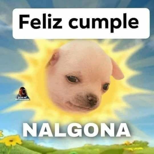 clowner_a's tweet photo. Feliz cumpleaños litrecillo, yo no quiero pastel, quiero tortazo 

@aqross_oficial https://t.co/NXnXx82JoA
