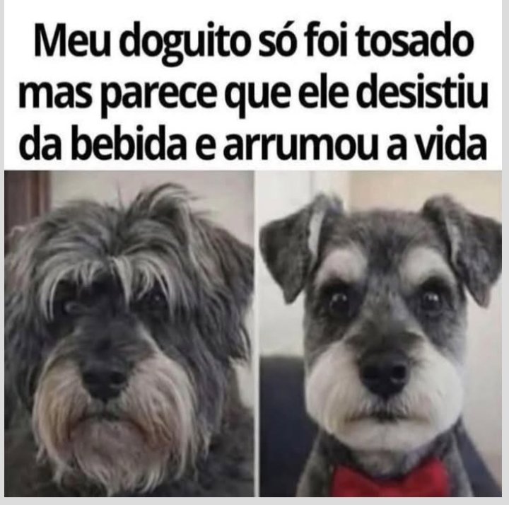 sobreteucaos's tweet photo. https://t.co/R6HAHfrffW