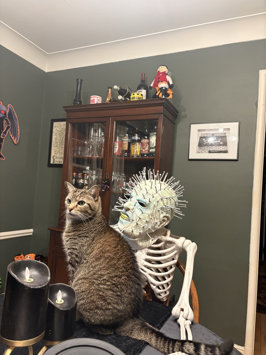 NoRestNick's tweet photo. The cat made a new scratching post friend. https://t.co/ElGUlQbJX5