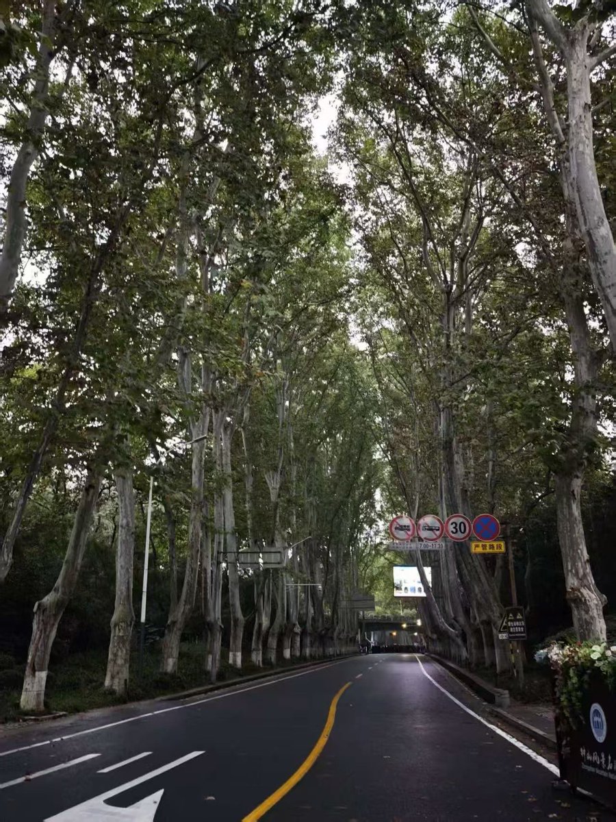 Hang3kqv's tweet photo. 🌍 A birthday surprise 💌

I'm making a world map of birthday wishes for someone special. Here's a photo of my hometown in China! 📸

Could you leave a wish in your language? If convenient, I'd be grateful for a photo of your hometown too.

Thank you! Wishing you joy and love. ❤️ https://t.co/t8IvuRk6fZ