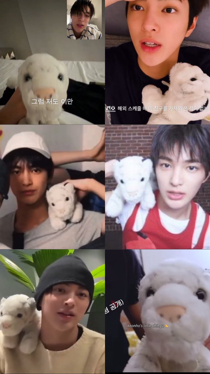 keonhoimupp's tweet photo. keonho with his tiger plushie 🥺🤏🏻🤍
boneka ini udah nemenin dd hampir 10 tahun😭 dibeli pas masih kecil waktu di Everland. bahkan dulu sempet robek di bagian pantatnya terus dijahitin sama noonanya🥺🤏🏻 sekarang masih terus dibawa ke mana-mana huhu lucu banget😭🤍 https://t.co/wmzDJaZNBm