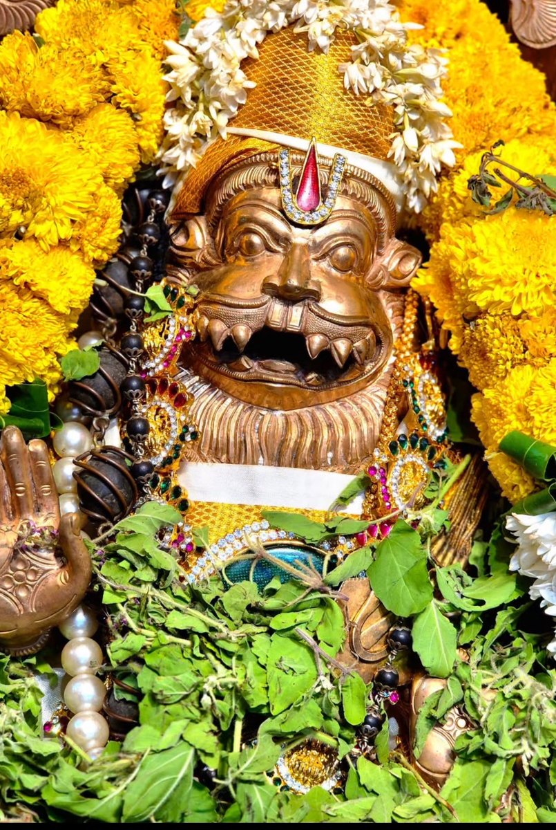 lalitha_jr's tweet photo. காலை வணக்கம் காவி'ஸ்🙏🙏🙏 https://t.co/vSh5p4VqrX