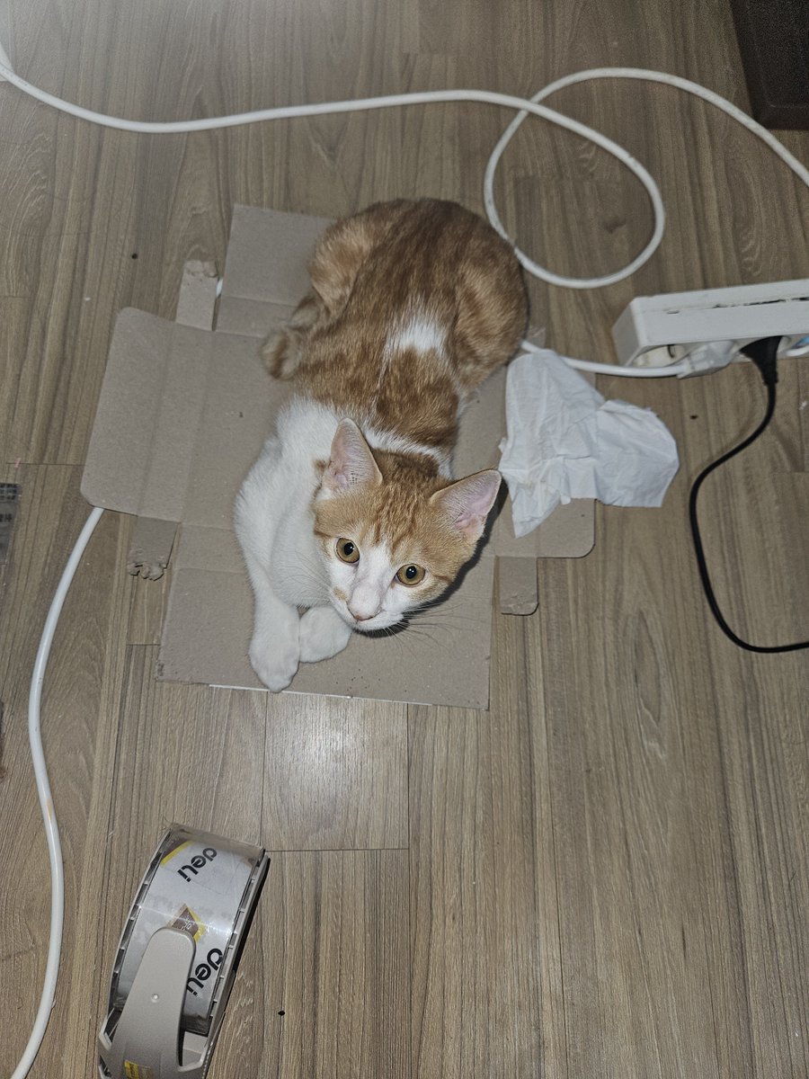 BBo414DDo's tweet photo. 내가 앉는 곳이 곧 방석이니라 https://t.co/MLVM4Ah8t1
