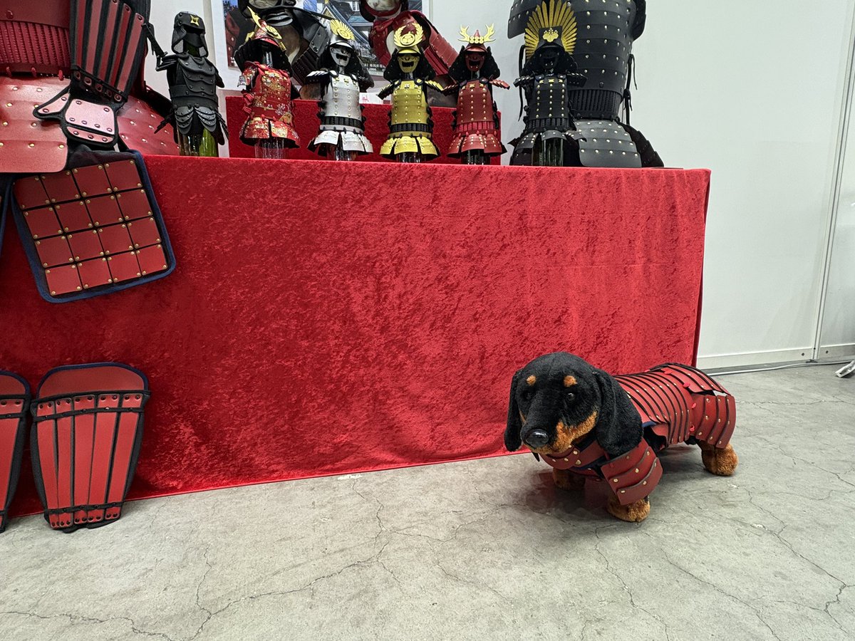 the_samurai_age's tweet photo. 今日1番の人気者⚔️
#samuraiage #看板犬 #ペット鎧 https://t.co/ofiFyvs0F4