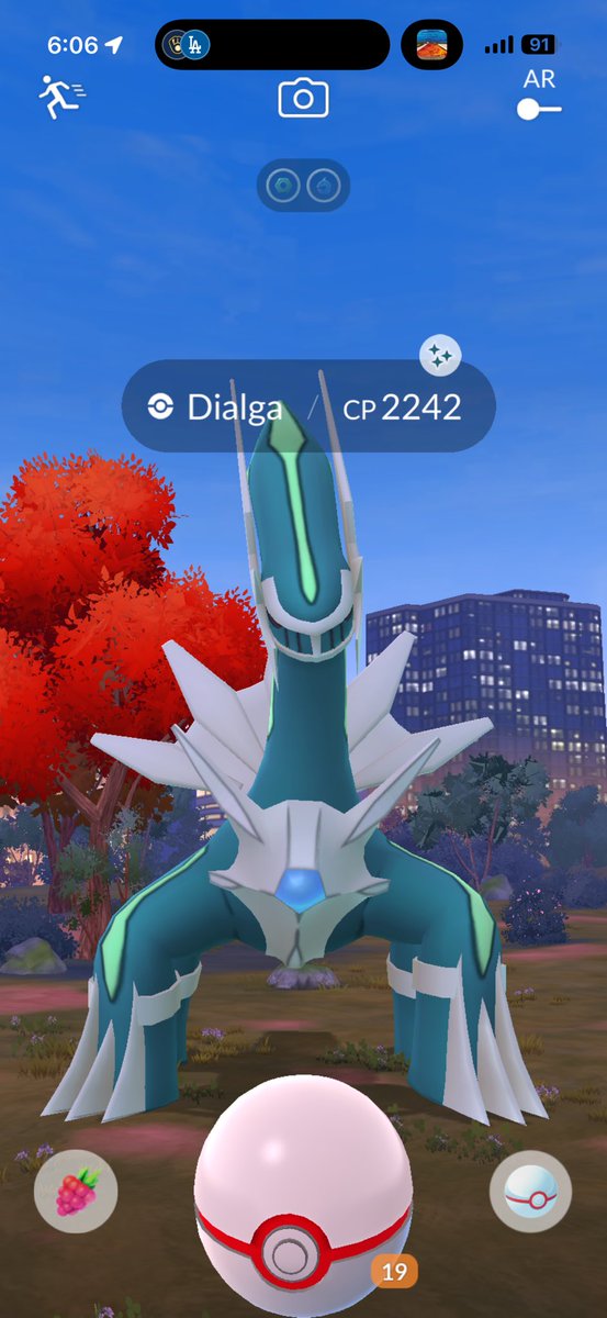 xGoodfxllas's tweet photo. Today’s Raid Hour shiny ✨ plus some awesome postcards I’ve been receiving from around the world 🌎📮

#PokemonGo #Pokemon #PokemonCompany https://t.co/IIu7ZBcccc