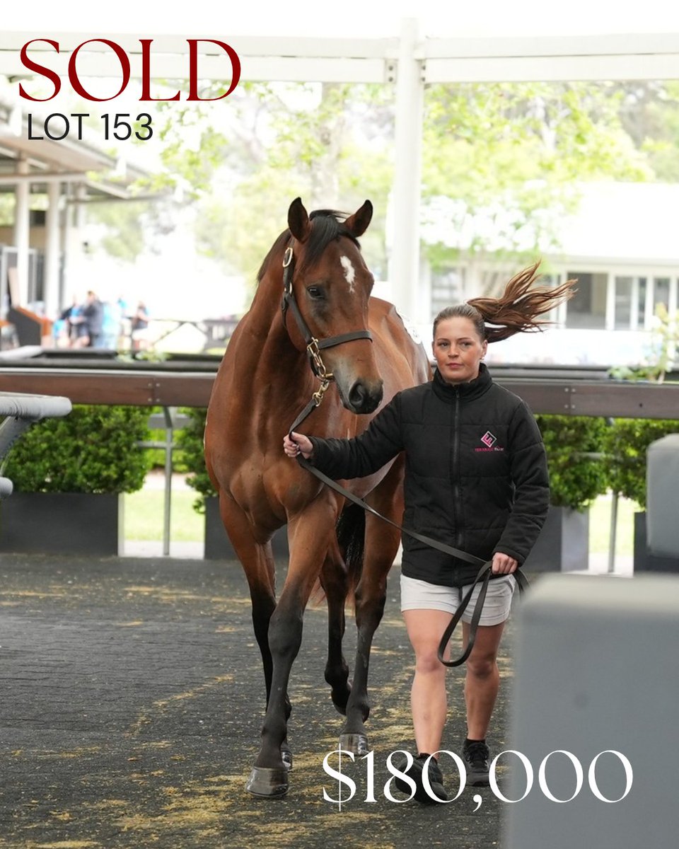 NewgateFarm's tweet photo. Off The Map!
LOT 135 IN THE CONGO x Triple Chelsea colt sells for $180,000 at the @inglis_sales R2R sale
The colt was purchased by @cmaherracing ๐
Congratulations to vendor Fenrigg Farm & all involved on a great result! ๐
#OffTheMap #NewgateSired https://t.co/4easszr8MG