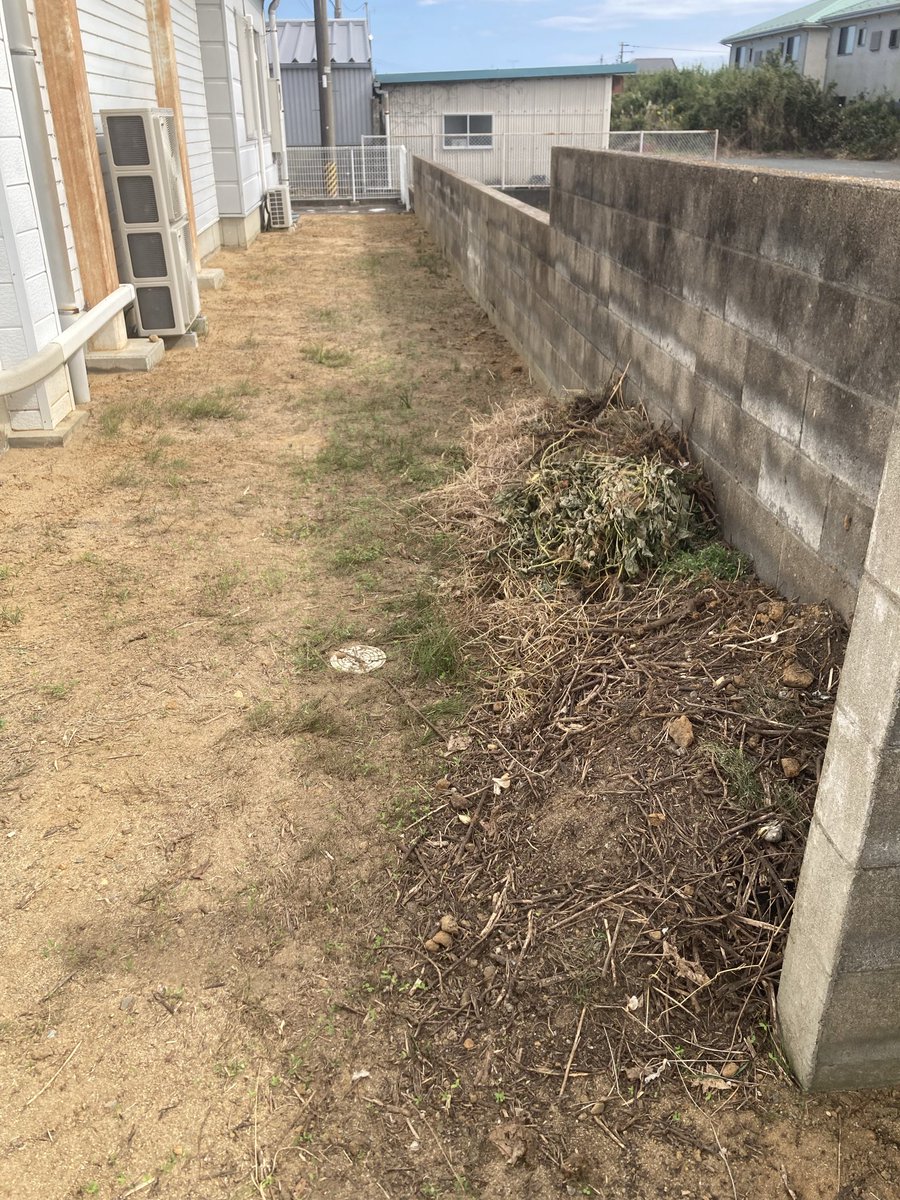 namieuta's tweet photo. 浪江町権現堂　地域おこし協力隊事務所

移転してからコツコツと片付けてきた裏手

この度　新たなチャレンジが始まった裏手

タマネギ＆ニンニクを育てていく挑戦

お手伝いをしつつ見守りたいと思います

#浪江町　#浪江町権現堂　
#浪江町地域おこし協力隊
#浪江町移住定住相談窓口
#namietown https://t.co/1yEPHL4rYX