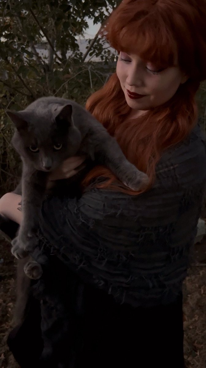 RavynMidnight's tweet photo. The Game: Spin the Wheel to Choose My Goth Look 🦇 The results: Victorian Goth Vibe, Ginger Wig, Pigtails Style, Natural Base Makeup, Black Eyebrows, Grey Contour, Blue, Purple, &amp; Pink Eyeshadow, White Eyelashes, Bloody Lipstick, Tank Top Dress, Witchy Shoes. My cat was a bonus🖤 https://t.co/nNRkfffX3N