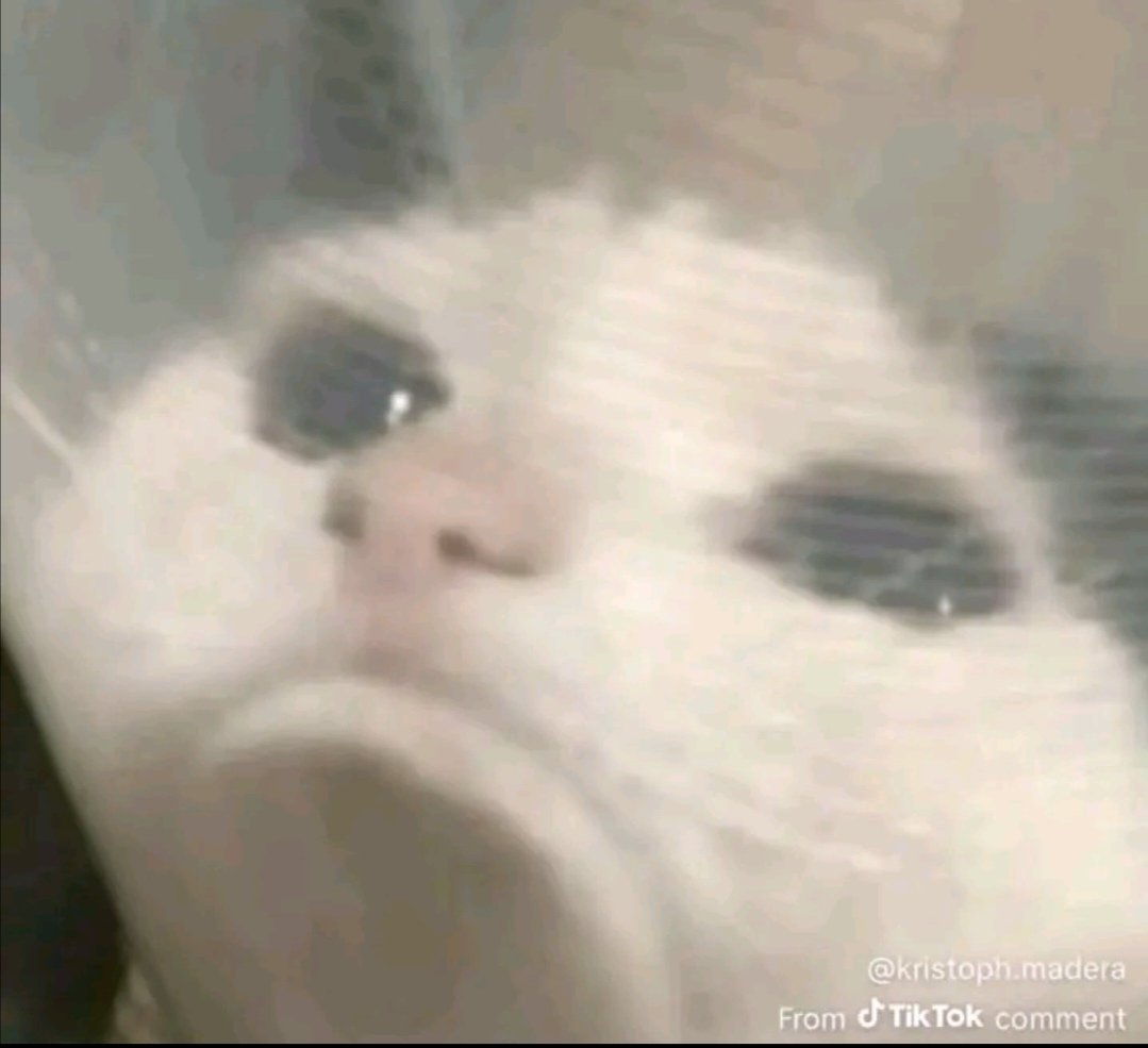 ikke_pe's tweet photo. @chibidoki no vas a decepcionar a nadie, haz tu mejor esfuerzo y diviértete, cuando te empeze a ver en este dedsafío no hay día que no pare de reír con tu pov. https://t.co/41M8z4NsTe