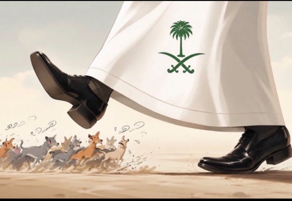 elhamalzhrani2's tweet photo. @imneverfall https://t.co/f85eM6dlJj