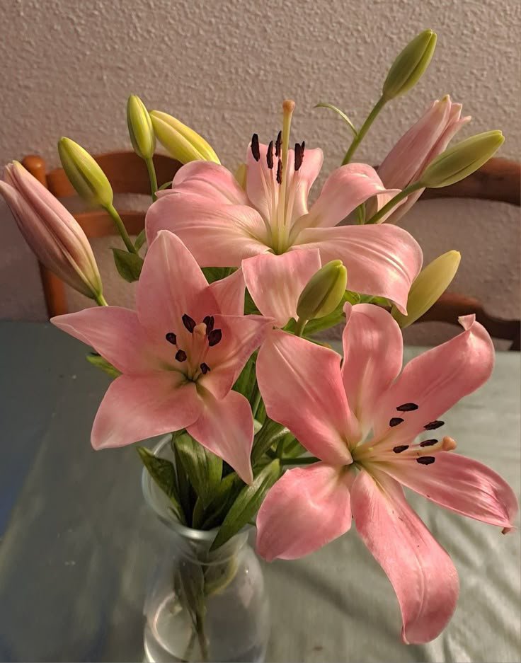 Liliestulipssss's tweet photo. https://t.co/65tH0OGK0B