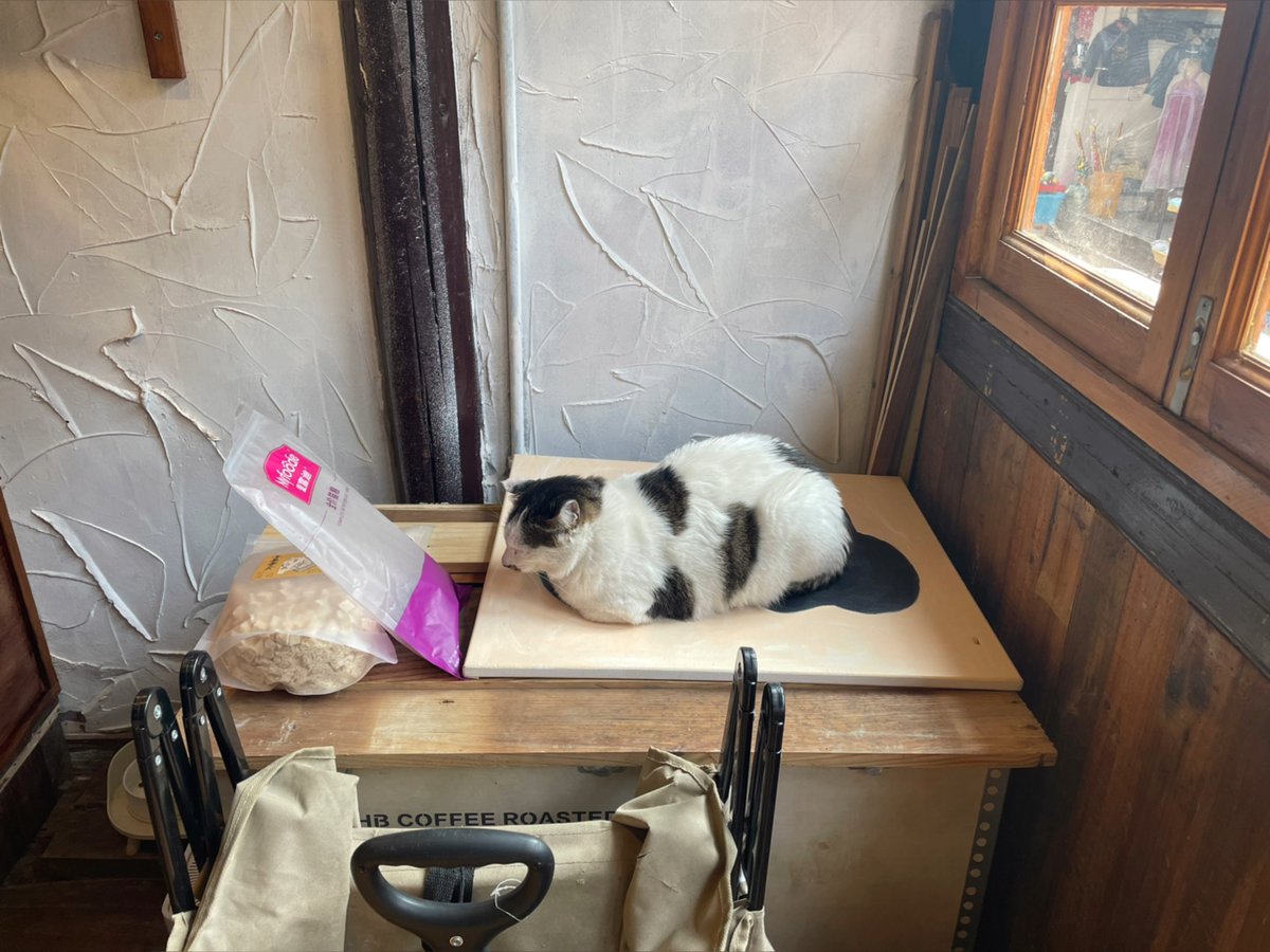 adorable7color's tweet photo. [He accidentally bumped into the vase in the old shop, then caught sight of a chubby, plump male cat with a uniquely shaped tail.] https://t.co/ColpEI3Jnn