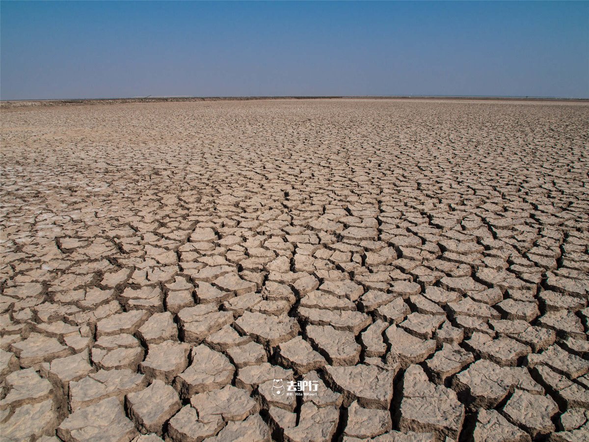 JeffSaysFB's tweet photo. [The withering heat test of summer is really tough enough!]， https://t.co/QCw2ysY89j