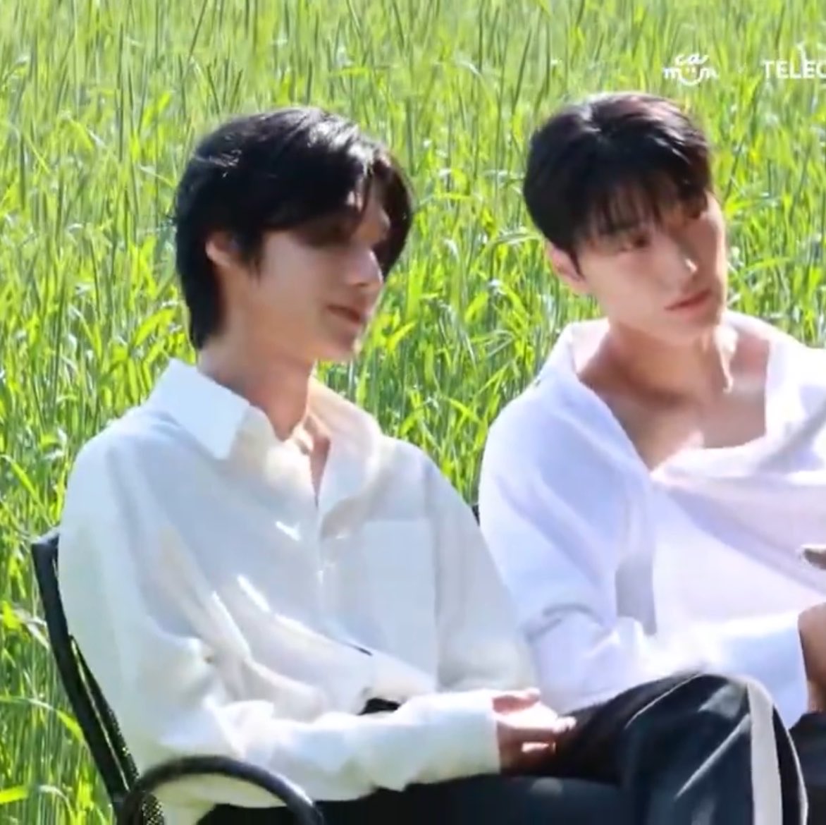 b1tesize's tweet photo. they 😭😭😭 grew 😭😭😭 up 😭😭😭 https://t.co/RR9rIwedSi