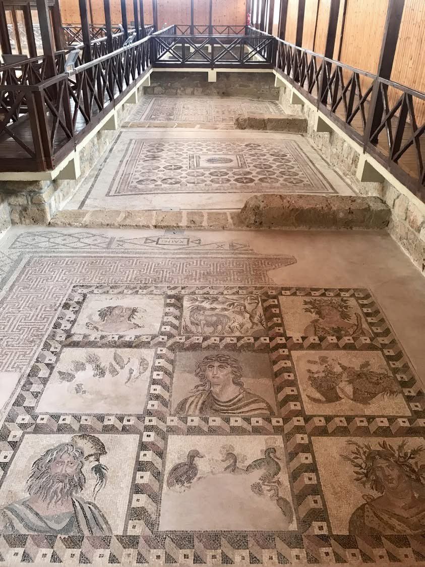 AncientHistorry's tweet photo. Roman floor mosaics from the House of Dionysus in Paphos, Cyprus, 2nd century BC https://t.co/T2H4w5v5au