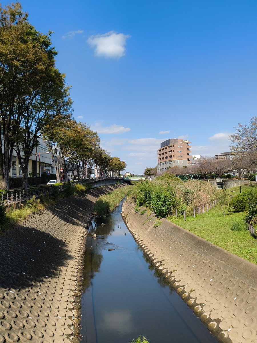 chigasakibook's tweet photo. いずみ中央駅にはじめてきました。
ここから戸塚方向へ1キロ半ほど、イトーヨーカドー立場店で秋の古本市開催中。10月19日(月)まで。＃横浜　＃古書 https://t.co/iapuFEGjZz
