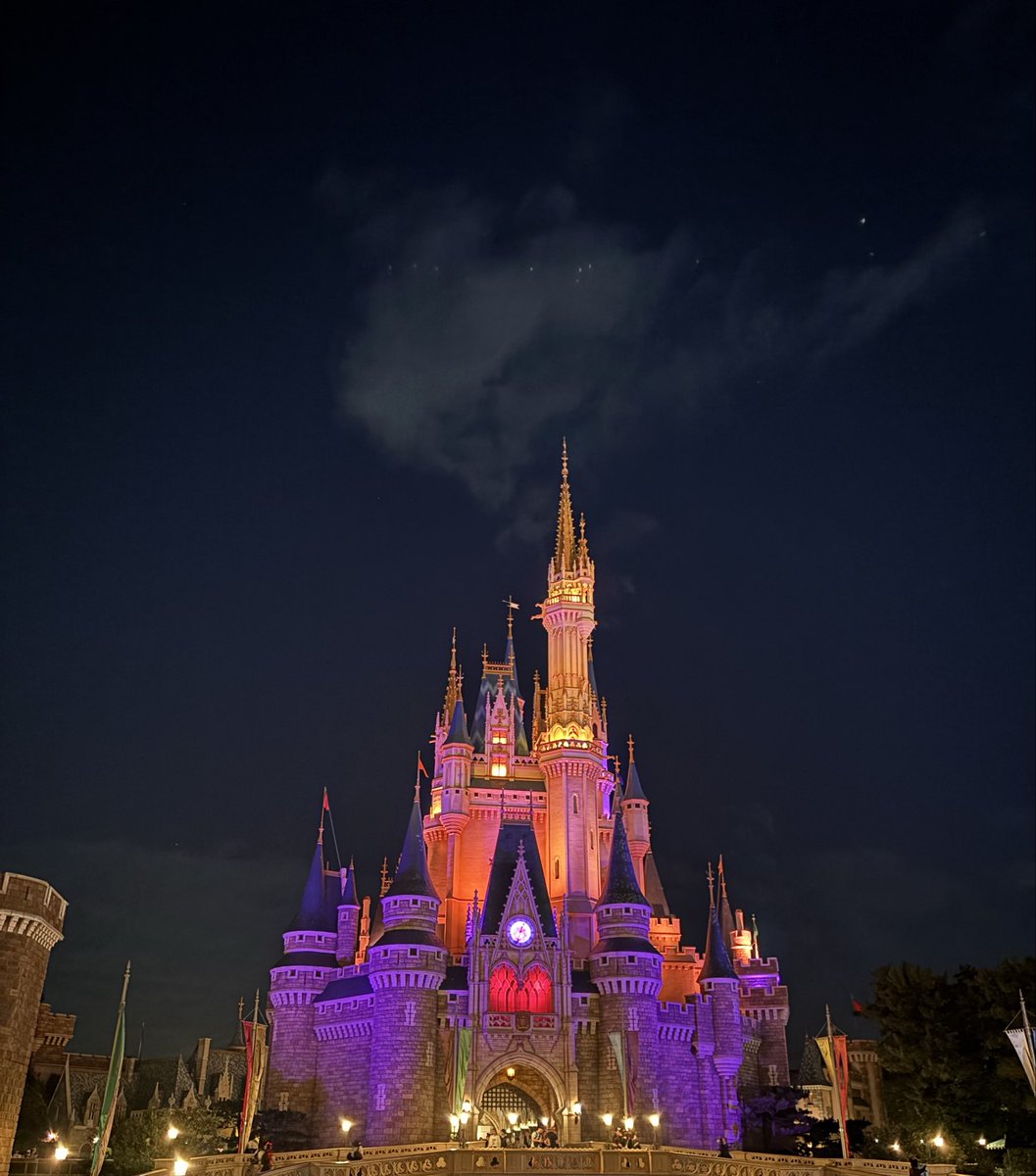 therampagezin's tweet photo. 家族とミニプリンセスを連れて夢の国へ🐭
姪っ子の目の輝きが今まで見た何よりも輝いていて、死ぬまで忘れないだろうなと思いました😄

ディズニー、本当にありがとう！！！ https://t.co/sQ3ILdYzpm