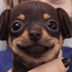 slvrffopp's tweet photo. que musica escuchaann mutiisss, yo soy un poco de todo, ondaa lo q me sale lo escucho, me gusta mucho igual las canciones de mac demarco, tmb toco la bateria y la guitarra y bueno, quiero aprender tecladoo ejje, cuenteme jejeje https://t.co/QS1fBAM1U9