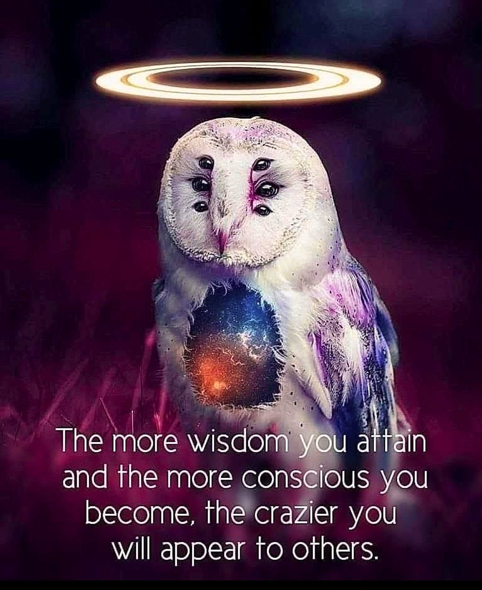 JSyvari's tweet photo. Do it anyway..
#ThursdayThoughts
#WordsOfWisdom
#BuildYourOwnFuture
#LiveYourFantasticLife https://t.co/Mp29Y4MJFL