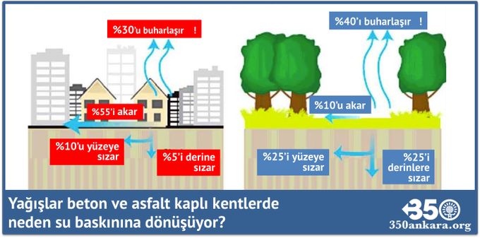 350Ankara's tweet photo. İstanbul, Antalya, Sakarya, Kocaeli, Muğla..  #yağmur neden su baskınına dönüştü?

Ağaç kesip asfalt ve beton dökmeyi politika zannedenlere gelsin! https://t.co/29SclXLv0A