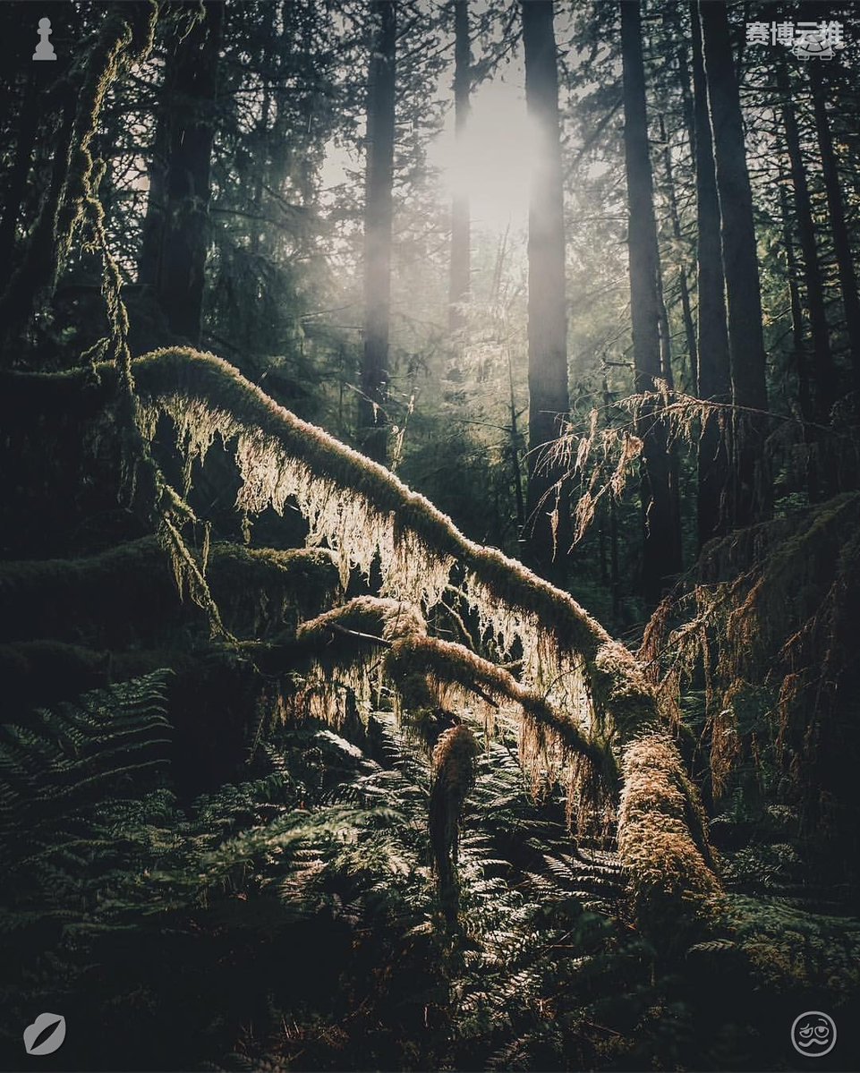 ninatomlinson8's tweet photo. Hold tightly to what truly matters.A present-focused mindset stops endless replaying of old failures; living fully in today lets you take intentional small steps that gradually build your future desired successful reality. https://t.co/ojrCRm9JTM