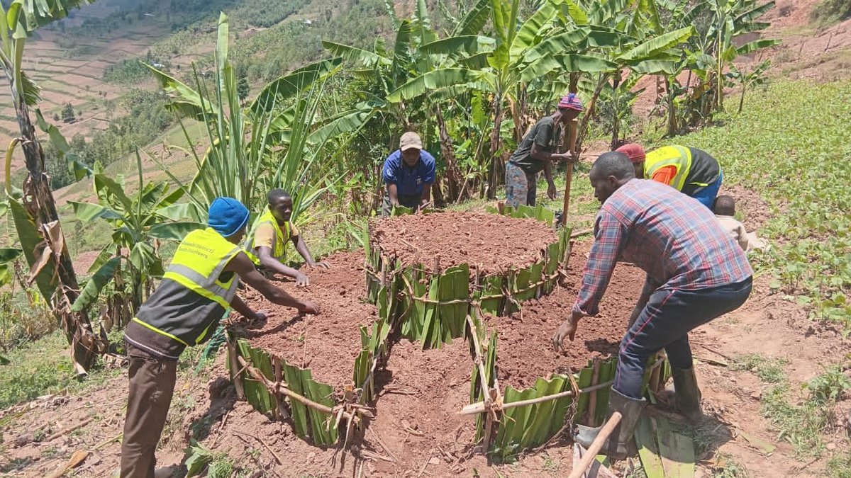 GicumbiRyvcp's tweet photo. Kuwa 14/10/2026 @enganeyezu umuhuzabikorwa w'urubyiruko @RwandaYouthVol1 @Gicumbi_Rwanda yifatanije n'urubyiruko bo mumurenge wa @Bukure migikorwa cy'umuganda wo kubumva amatafari azubakishirizwa abana batishoboye @Rwandapolice @KubanaRichard @RYVCPNorthern https://t.co/DaB9spNK1C