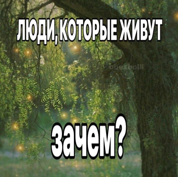AkiiiErl's tweet photo. главный вопрос https://t.co/THoifWz18a