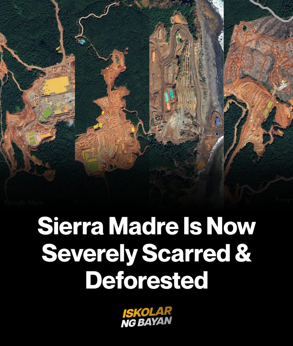 rantsss9's tweet photo. Nakakagalit at nakakalungkot. 😭💔 Approximately 12,000 trees cut down sa Sierra Madre para sa mining operations, at ang dahilan ay may permits sila?

Hindi sapat na may permit kung kapalit naman nito ang pagkasira ng ating kalikasan. Hindi basta bastang mga puno lang yan. Sierra Madre protects communities from floods, shelters wildlife, and helps protect our future. If we continue to destroy our environment, ordinary Filipinos will be the ones who suffer the most.

Development for whom, kung kalikasan at kinabukasan naman natin ang kapalit? 

#SaveSierraMadre