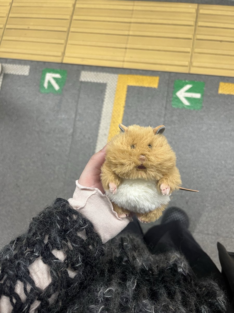 shubiryoku's tweet photo. かわいーwwww https://t.co/GSRZSzT0jE