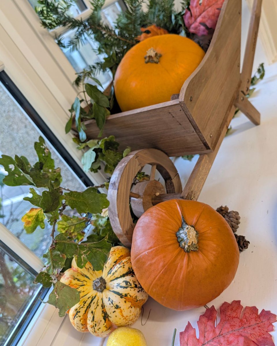 PHSNewbury's tweet photo. Student Services has gone autumnal 🍂 — cozy vibes, a shelf full of lost jumpers, and a friendly face ready to help. Misplaced your timetable or need leave school for an appointment? Pop in and reclaim your lost property (and your schedule)! #takeresponsibility https://t.co/IFjlPLp6fs