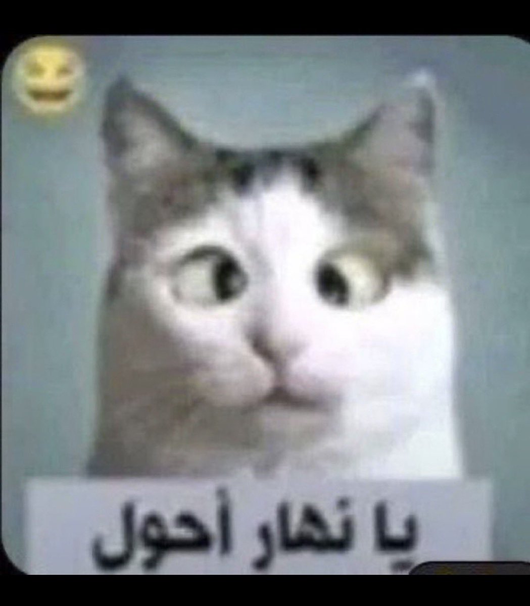 KSA_7bb's tweet photo. https://t.co/DeSqKfsjzA