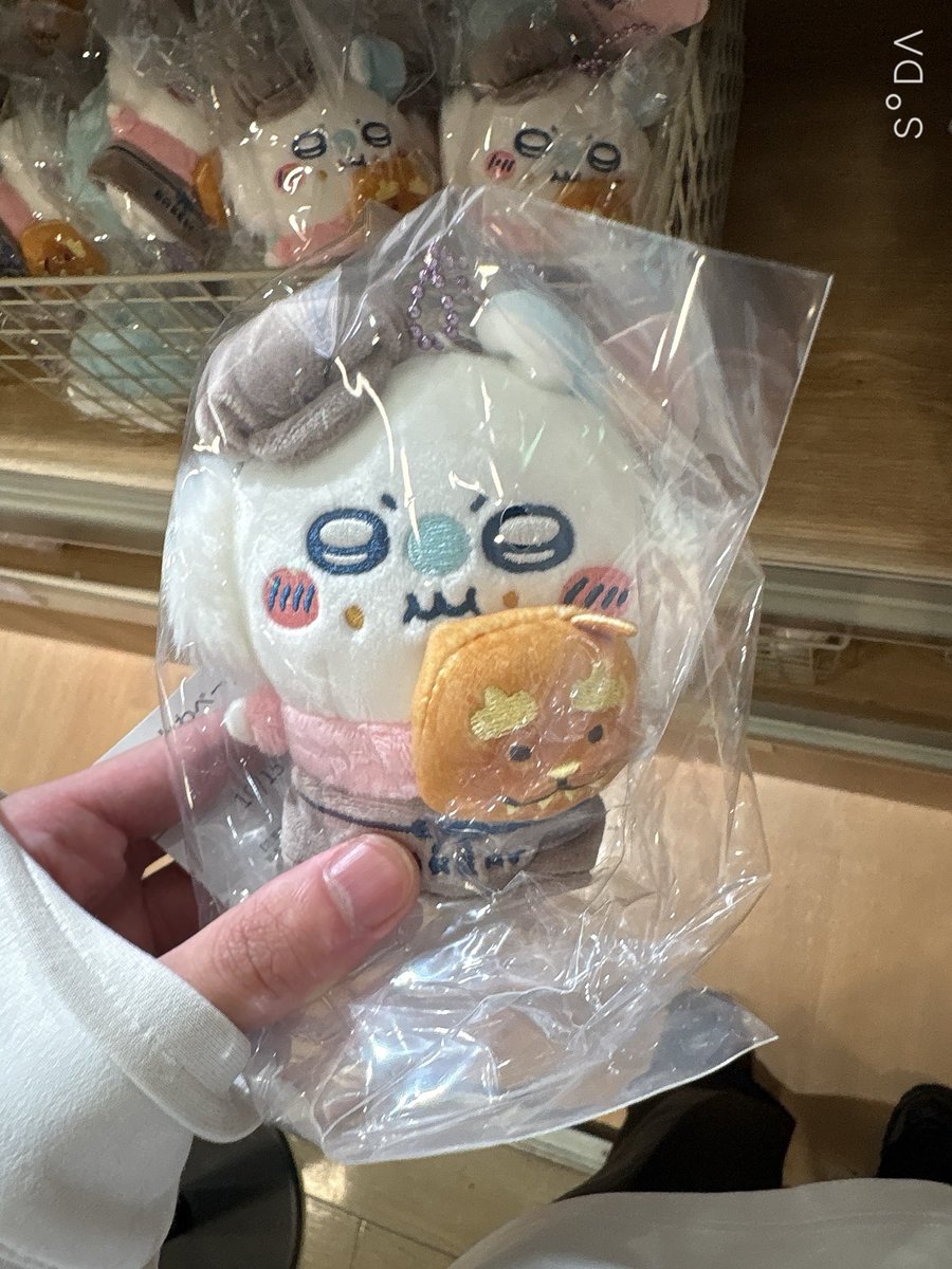 Eclair_nomad's tweet photo. 流石に可愛いか https://t.co/fKozx3VcB3