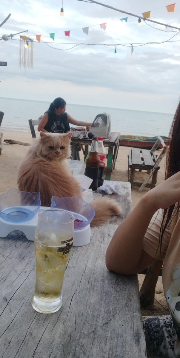 CandidaPatzth0's tweet photo. หาดหินงาน #สิชล ต้นเหรียง ใครเหงาทักได้นะคะ https://t.co/klybNGIAUp