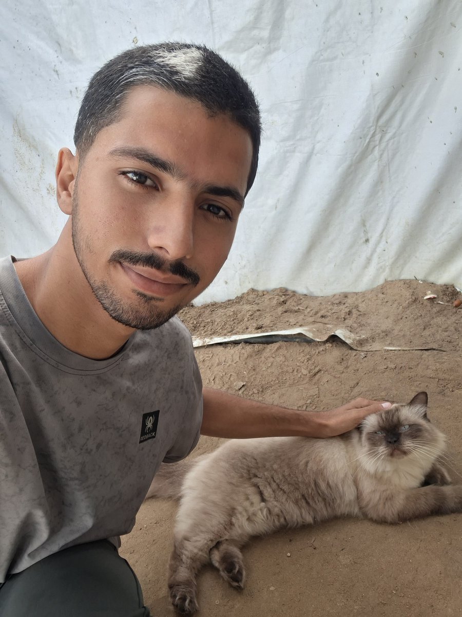 MustafaAmeen30's tweet photo. My cats and i are still alive in Gaza.🇵🇸

If you see this photo, please don't scroll past in silence.

Write anything - even a single dot means so much to us and reminds us that we are not alone.🥹💔🙏 https://t.co/mpO4JMEh1q