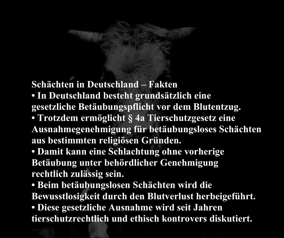 oldbgold555's tweet photo. @Nazikitzelkonig Krass das der Typ hier für Halal ist!😂😂😂 Tierschutzgesetze sind politisch linken völlig egal wenn es ihrem Hass oder ihrer Ideologie dient! Er liebt es Tiere leiden zu sehen! Hauptsache muslimische Gefühle werden nicht verletzt 😂😂😂 https://t.co/tdRxFA1veL