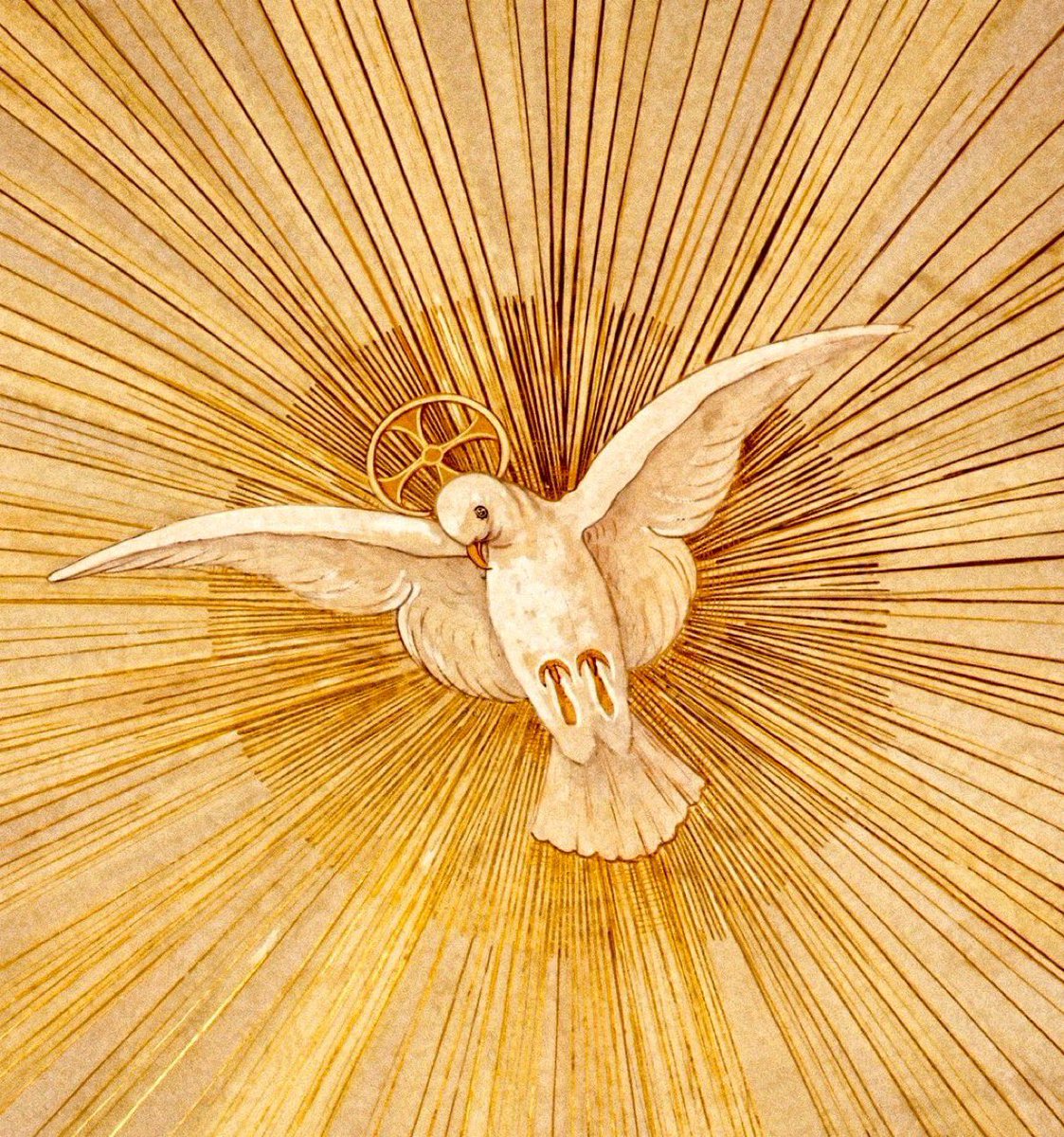 Reina_de_la_Paz's tweet photo. Oración al Espíritu Santo
Ven Espíritu Santo, envía tu luz desde el cielo. Padre amoroso del pobre; don, en tus dones espléndido; luz que penetra las almas; fuente del mayor consuelo.
Ven, dulce huésped del alma, descanso de nuestro esfuerzo, tregua en el duro trabajo, brisa en las horas de fuego, gozo que enjuga las lágrimas y reconforta en los duelos.
Entra hasta el fondo del alma, divina luz y enriquécenos. Mira el vacío del hombre si Tú le faltas por dentro; mira el poder del pecado cuando no envías tu aliento.
Riega la tierra en sequía, sana el corazón enfermo, lava las manchas, infunde calor de vida en el hielo, doma el espíritu indómito, guía al que tuerce el sendero.
Reparte tus Siete Dones según la fe de tus siervos. Por tu bondad y tu gracia dale al esfuerzo su mérito; salva al que busca salvarse y danos tu gozo eterno.
Amén.

Buenas noches nos dé Dios