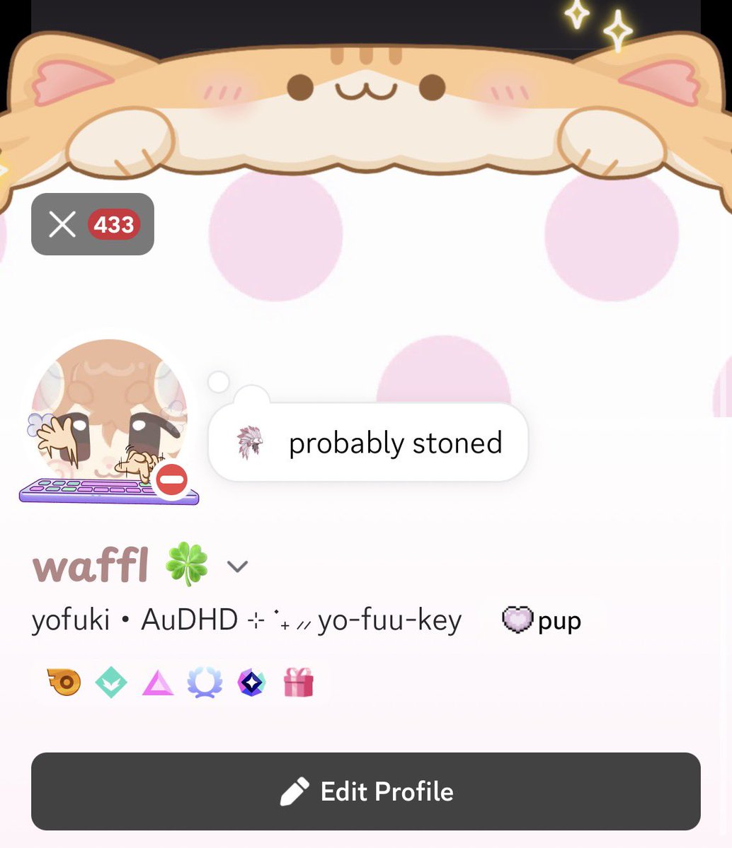 yofuuki's tweet photo. heeey heres my discord if any1 wants to be frends!! https://t.co/bOaFRQ1c7V