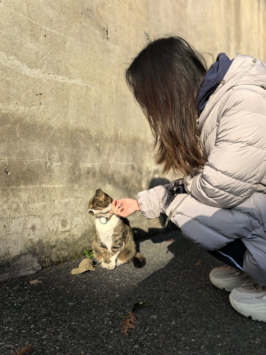 aW4bntgaGXbza13's tweet photo. [湍濁した水の畔で、一匹の木の下に猫が寝そべっている様子] https://t.co/HyNP2KqjOF