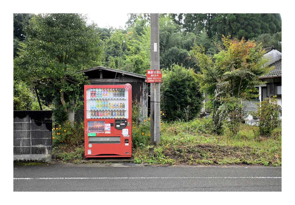 teruyan002's tweet photo. .
『自販機のある風景』

#自動販売機 #自販機
#風景スナップ #スナップ写真
#japan https://t.co/j3lZNhetJH