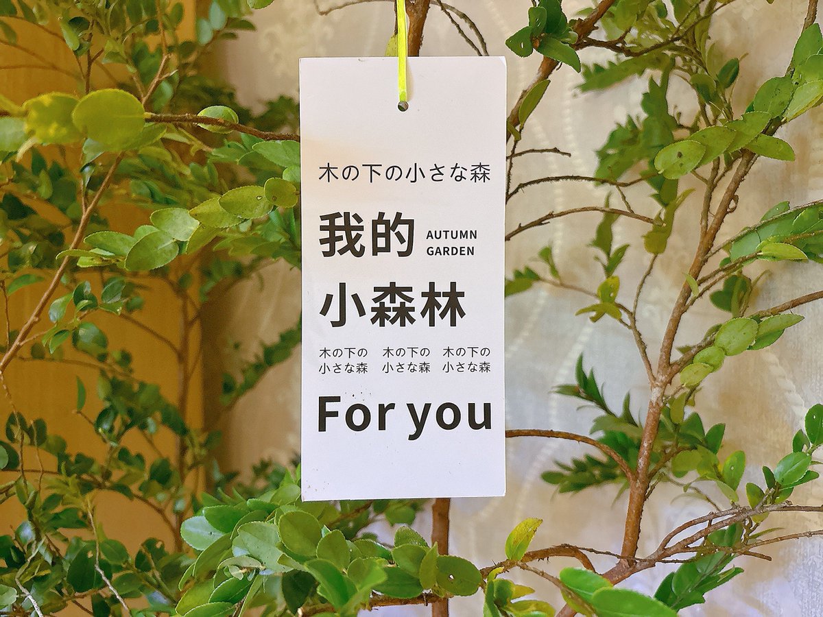 enddl456's tweet photo. [藏孔疗岛没]にまつわる不思議な小さな風景を発見！日常の中に潜む小さな発見って、やっぱり楽しい https://t.co/bOmz6LuKJa