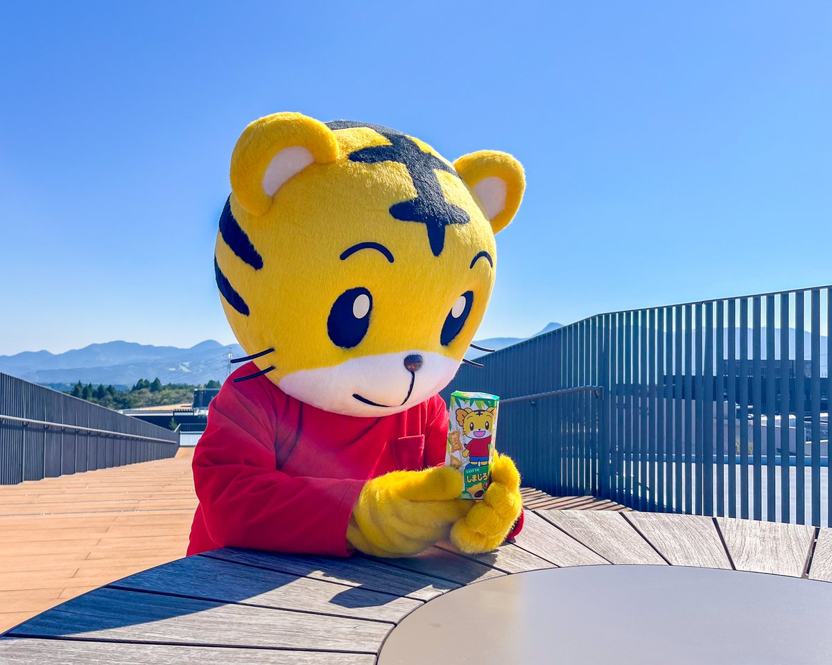 shima_official's tweet photo. おや？しまじろう　自分かな？ https://t.co/FbPTrqsnIa