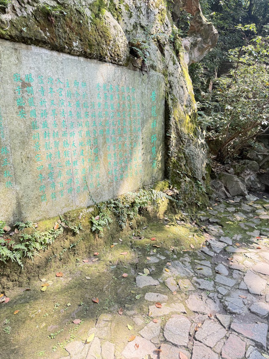 0xClareYang's tweet photo. 嘿 徒步4公里（宝石山） https://t.co/P0TDRhTHjF