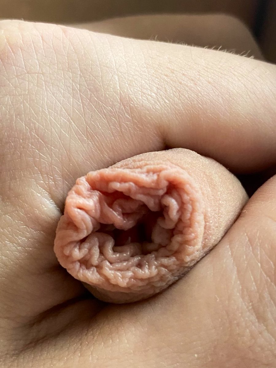 datom198's tweet photo. There’s something in my jocks. Oh look - it’s a cock flower. 🌹 

#uncut #foreskin #uncircumcised #uncutcock #uncutdick #teamuncut #foreskinplay #intact #4skin #uncutforeskin #uncutaussie #biguy 
#bigcock #aussiedick #aussiecock #bi #uncutaussie #aussieguy #tallguy https://t.co/XeNbFdOJr1