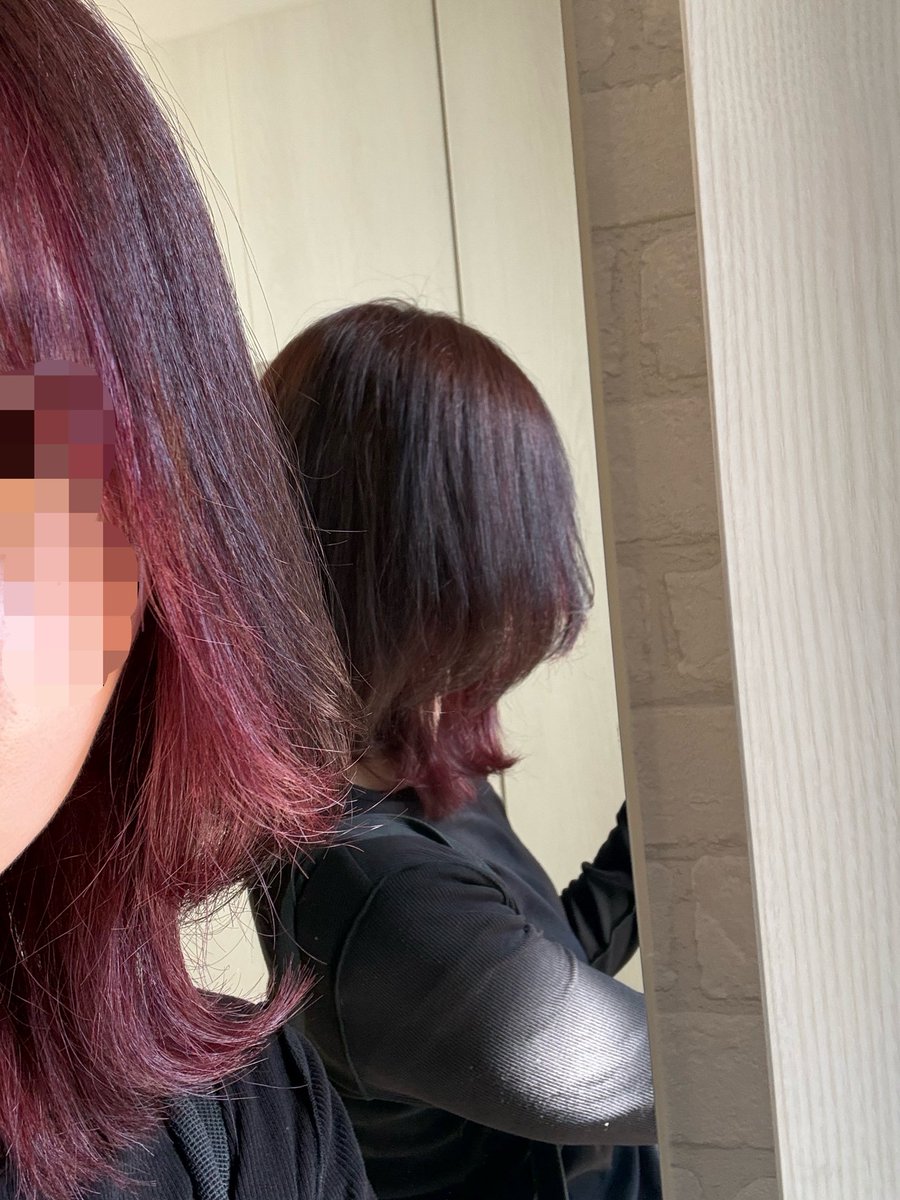 miki__key's tweet photo. 逆アンブレラカラーにしてきた🩷
極力シャンプーしない方が…って言われたからシャンキャンがんばるwww
(もちろん前日は絶対洗うよ笑) https://t.co/6BQv4hURzH