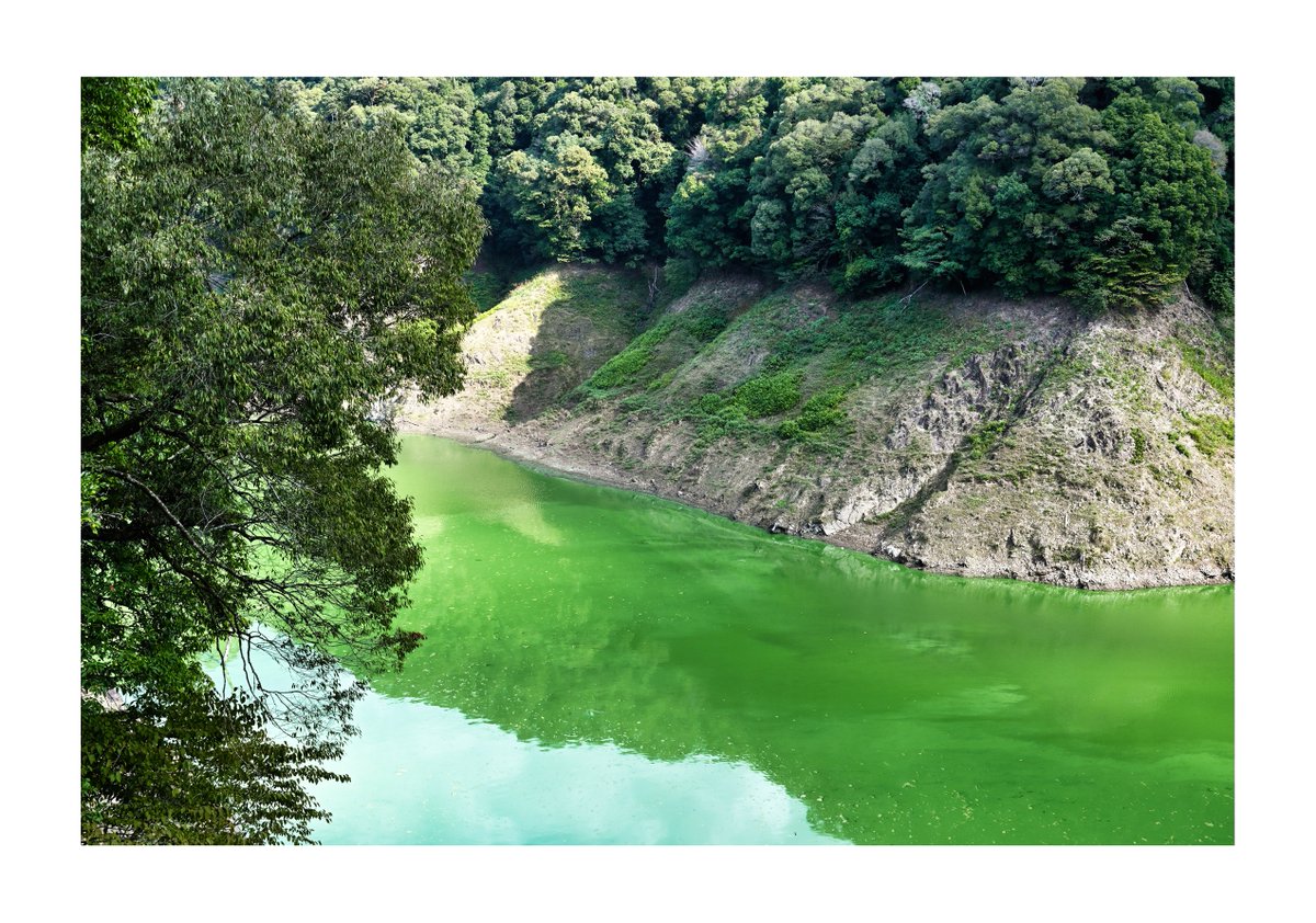 teruyan002's tweet photo. .
『風景写真』

#大鶴湖
#風景写真 #Landscape
#japan https://t.co/VsbuTQpR6u