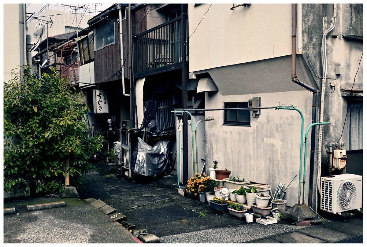 teruyan002's tweet photo. .
『Fragments of Light』

いよいよ後がなくなった。。。

#風景スナップ #スナップ写真
#japan https://t.co/oj6MRfafBx