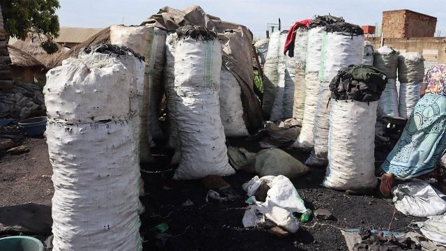 KATIITINOAH_A's tweet photo. We can all agree that, charcoal burning is one of the major reasons contributing to mass deforestation and worsening the climate crisis making us loses about 122,000 hectares of forest cover every year.
The demand for charcoal is too high.
Police can arrest everyone involved in charcoal business but its demand can never disappear.

Even though charcoal burning is not good for the environment, people depending it should not be punished.

As a country, Uganda must work together and make sustainable clean energy alternatives affordable, accessible and reliable to people at all levels. A just transition that protects forests and doesn’t leave the ordinary person behind.
#JustTransition
#CleenCooking
#Inclusivity
#Deforestation