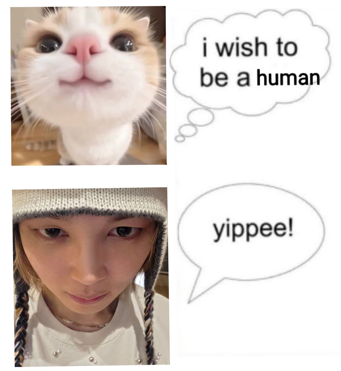 meraki_07_'s tweet photo. That's him actually 😭 https://t.co/gZbFuSoL2S